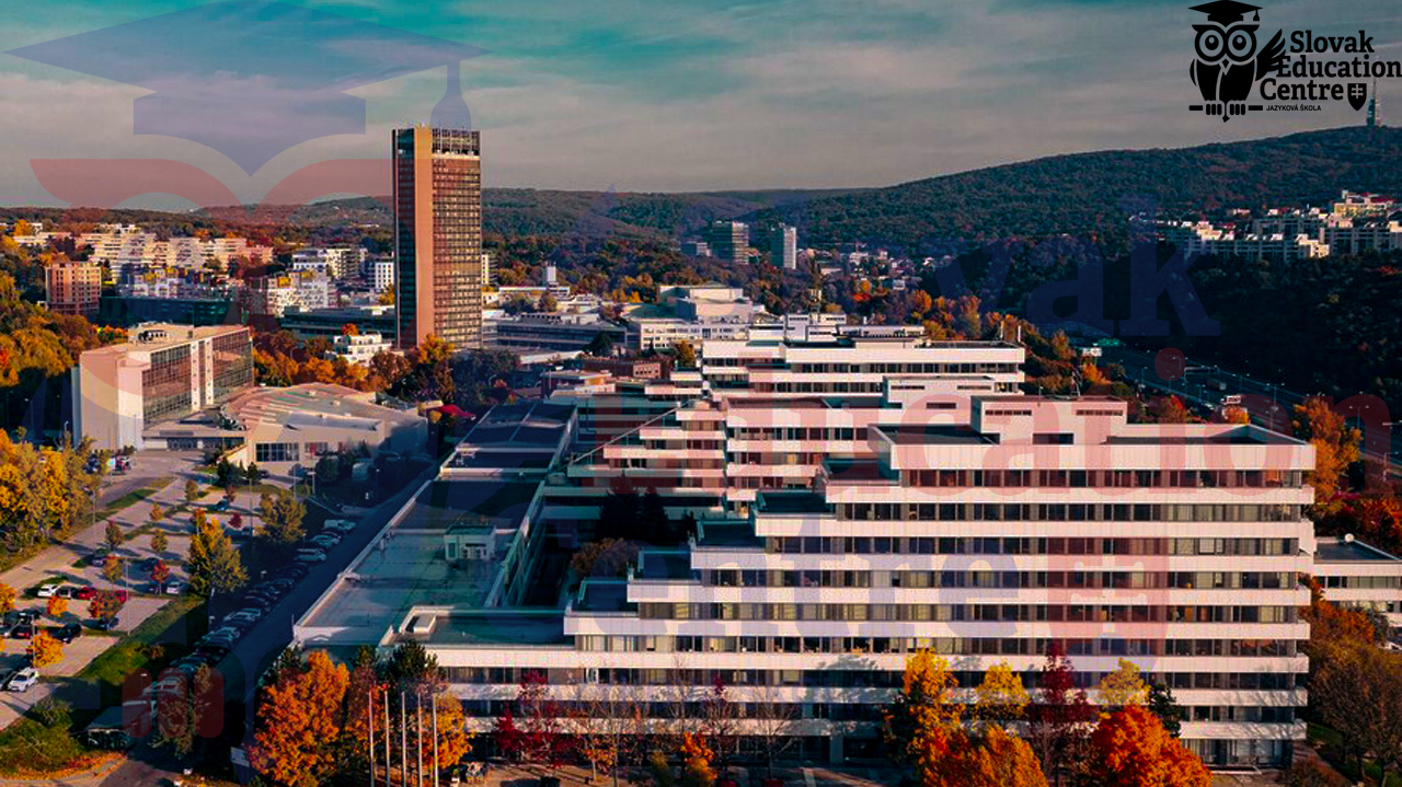 Словацкий технический университет в Братиславе