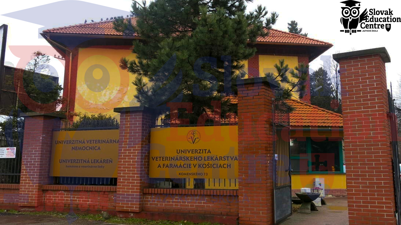 Университет ветеринарной медицины и фармацевтики в Кошице